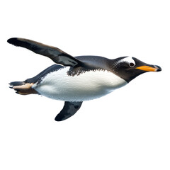 Fototapeta premium Penguin swimming A penguin swims gracefully through the water, body streamlined and wings extended. full length isolate on transparent background