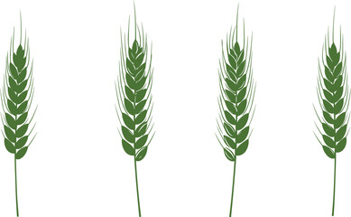 Green wheat ear illustration, agricultural crop design, botanical spikelet drawing, organic farming symbol, cereal plant vector, natural food agriculture art