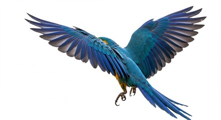 Vibrant Blue Macaw Soaring Gracefully Against White Background. AI Generated