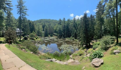 Obraz premium Panoramic view of a tranquil pond in a lush garden, surrounded by trees and hills