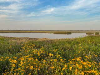 Obraz premium Open floodplain field with a large pond 