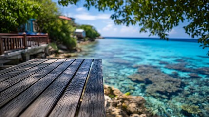 Wooden Deck Overlooking Clear Blue Ocean Under Green Tree Branches