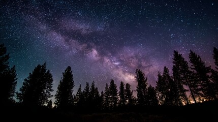Breathtaking Night Sky Filled with Stars Over Silhouetted Trees