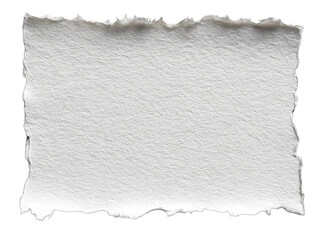 Blank ripped paper texture