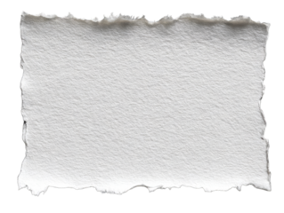 Blank ripped paper texture