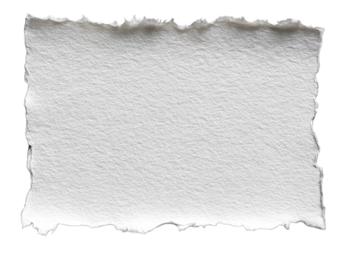 Blank ripped paper texture