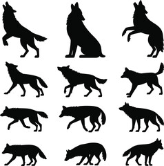 Wolf Silhouettes in Various Poses, Howling, Walking, and Running Wild Animals, Predator and Canine Vector Illustration Set