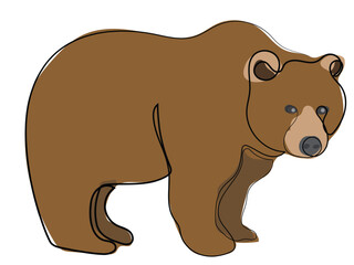 Bear in continuous line drawing style