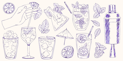 Hand drawn sketch of refreshing summer cocktails with ice mint and lemon slices garnished with mint leaves and a cocktail shaker