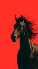 Majestic Black Horse Silhouette Against Vibrant Red Background