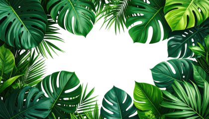 Tropical foliage frame with black center