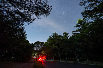 夜の阿波岐原パークウェイ