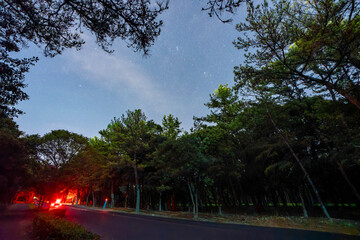 夜の阿波岐原パークウェイ
