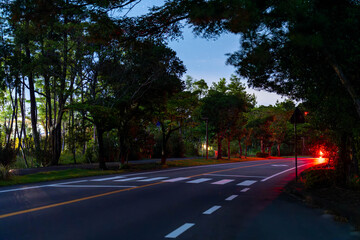 夜の阿波岐原パークウェイ