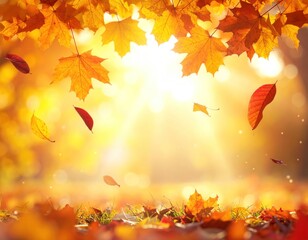 Sun rays illuminate falling orange maple leaves in bright autumn. Background blur, with leaves on ground