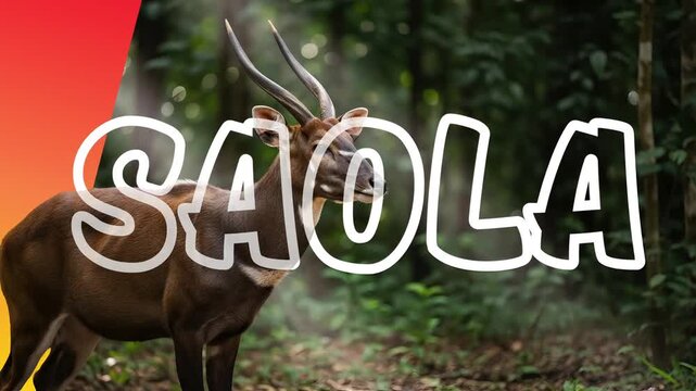 Educational animated video about the saola animal