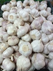 Garlic in the market. Fresh garlic. Garlic background.