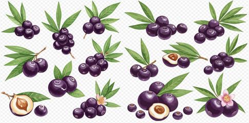 A set of hand-drawn acai superfood berries, shown whole, sliced, and in clusters with green leaves and blossoms.