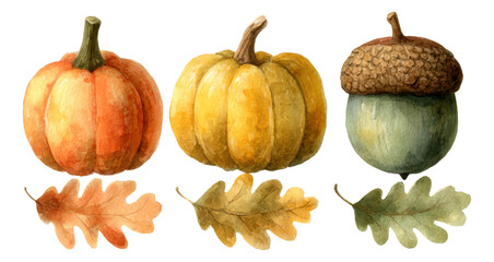Colorful Pumpkins and Acorn Illustration with Leaf Elements