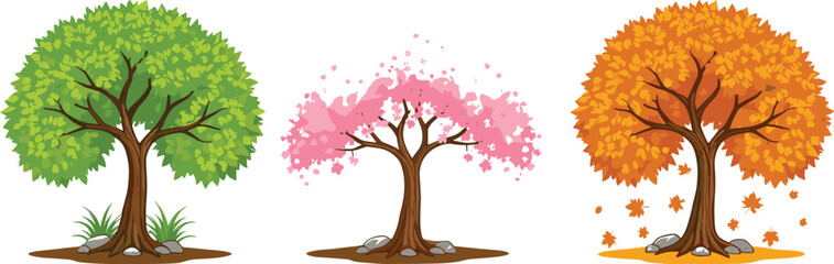 Obraz premium Seasonal tree illustration with green summer leaves, pink spring blossoms, orange autumn foliage, nature design, seasonal changes, botanical vector artwork