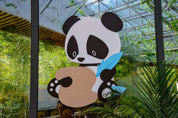 Adorable Giant Panda Collection at Sichuan Wolong National Nature Reserve 