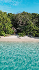 Tropical beach hut on the beach, aerial shot