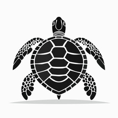 Obraz premium Symmetrical black sea turtle illustration with intricate patterns, clean minimalist vector art