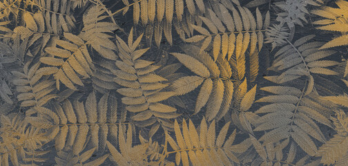 A natural fossil leaf texture with detailed fern-like impressions preserved in stone, forming an organic abstract background.