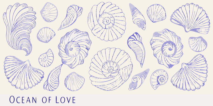 Collection of hand drawn blue seashells and spiral shells on a cream background