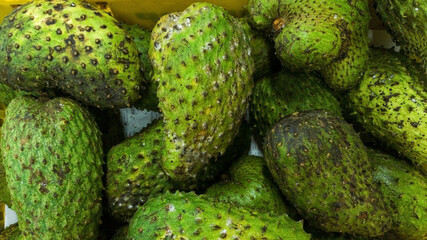 Close-up of fresh green soursop fruits piled together, showing their spiky textured skin and natural tropical appearance.  
