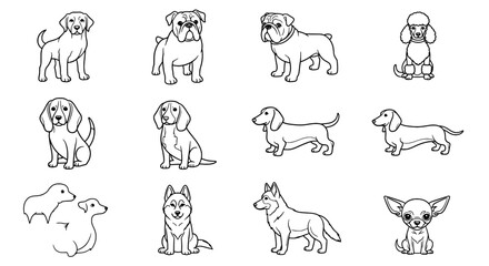 Fototapeta premium Assorted Dog Breed Illustrations A Line Art Collection