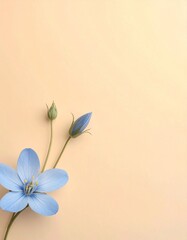 下端に配置されたツイーディアの花と清潔感のあるシンプルデザイン