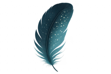 Elegant teal feather with white spots floating on transparent background