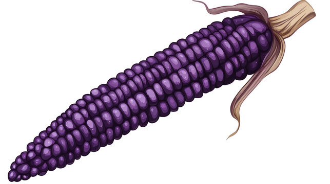 purple hair isolated on white background png