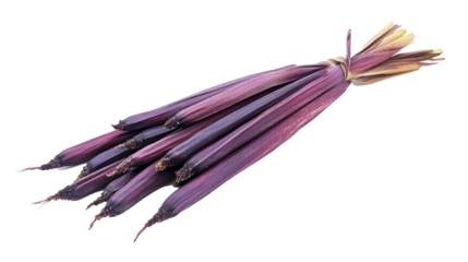 bunch of purple eggplants isolated png