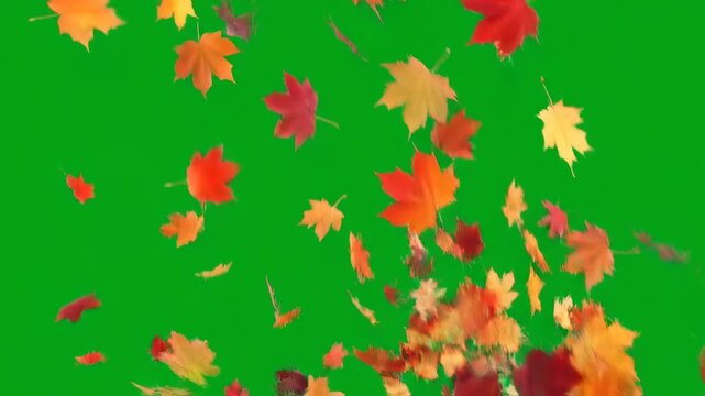 A powerful gust of wind sends multiple colorful autumn leaves swirling and falling on a green screen fall, dynamic, fast