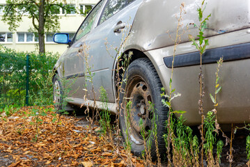 Old abandoned car with rusty bodywork, standing among weeds and dry leaves near a fence.