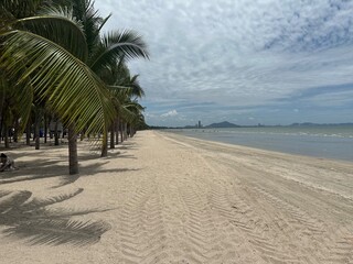 tropical beach with palm trees
