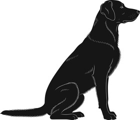 Black Labrador Retriever sitting side view vector illustration, realistic detailed dog silhouette, pet animal artwork, isolated on white.