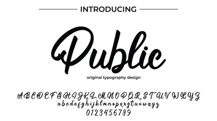 Public - Elegant Script Font for Smooth Handwritten Design and Creative Typography