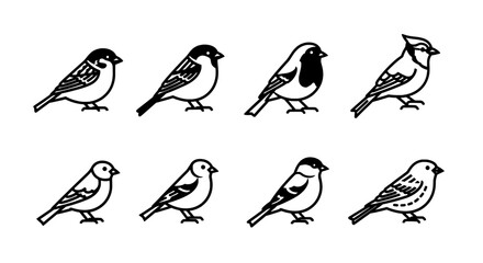 Fototapeta premium Diverse Bird Silhouettes A Collection of Avian Outlines