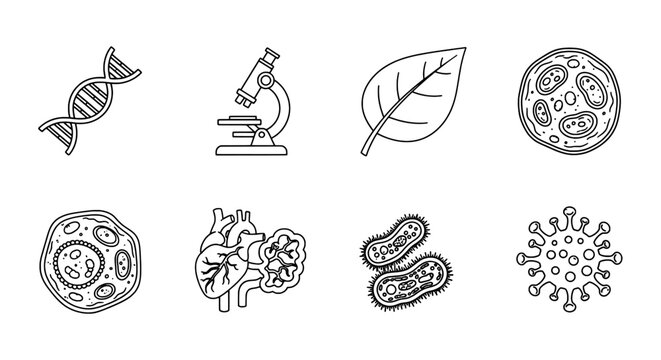 Scientific Research Icons Biology, Medicine, and Health Symbols