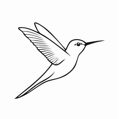 Fototapeta premium Cartoon hummingbird vector illustration in minimal line art style