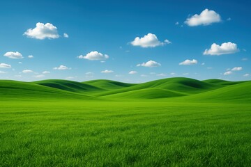 Obraz premium Vibrant emerald meadow carpet stretching endlessly under brilliant azure sky in pristine countryside