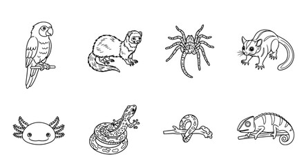 Fototapeta premium Monochrome Line Art Set of Exotic and Wild Animals Diverse Species Outlined for Educational Design
