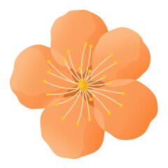 Vibrant peach-colored flower illustration with detailed stamens isolated on white background