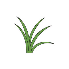 Obraz premium Simple illustration of a lush grass tuft isolated on white background