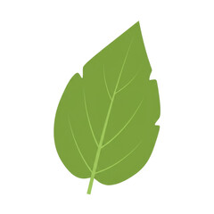 Single olive green leaf illustration, detailed veins, simple design isolated on white background