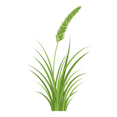 Fototapeta premium Vibrant green grass tuft against a blank background isolated on white background