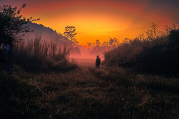 Morning vibes at Ranca Upas Ciwidey Bandung West Java Indonesia